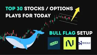 Small Caps Ready? These Stocks Will Make You a Millionaire | Jan 11th (Updated Daily)