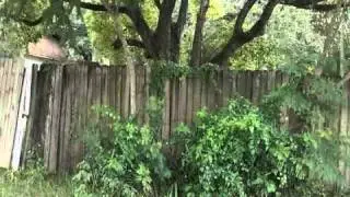 cashflowproperty.wmv