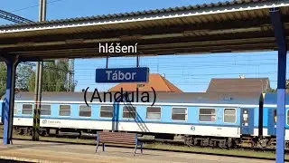hl&aacute;&scaron;en&iacute; T&Aacute;BOR (Andula)