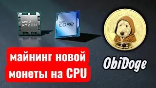 Майнинг новой монеты ObiDoge. Настройка hiveos и Windows