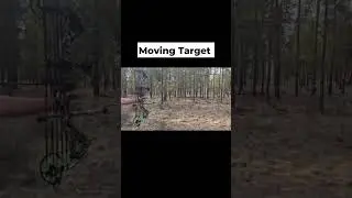 Three Rivers Archery: Moving Deer Target in Action!