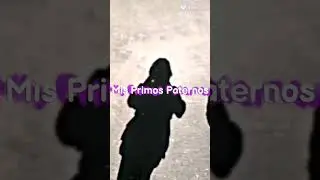 Mis Primos (Paternos)