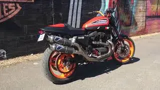 XR 1200 Sportster