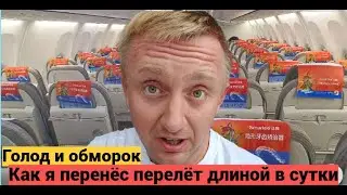 Жизнь в самолете. Как я летел из Тайланда в Санкт-Петербург.