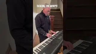 So SOOTHING 😴 #piano #pianomusic #relaxing #relaxingmusic #foryou #trending #silverfox #viral