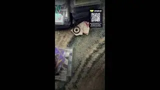 Impulze buys