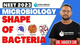 Shape Of Bacteria | Microbiology | NEET 2023 | Dr. Haider sir MBBS | Intelligence Career Institute