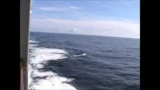 MIRROR: indyTNT - North to Alaska: Norwegian Pearl from Seattle to Juneau