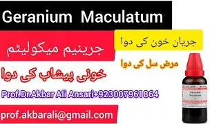 Haemorrhage/ Blood in urine/مرض سل / بول الدم Homeopathic medicine Geranium Maculatum Q .30 .200