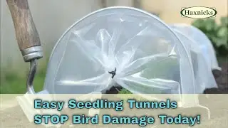 Spring Plant protection - Stop Birds Destroying Your Seedlings Forever  #plantprotection #gardening