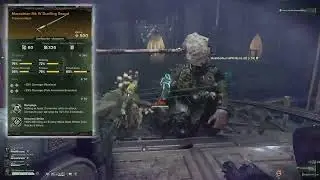 Melee Psyker Assail Scriers Gaze Build