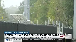 VIDEO: Beaufort Co. research center &lsquo;has eyes on&rsquo; 43 missing monkeys, officials say
