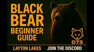 Black Bear Beginner Guide (Layton Lakes) &ndash; Fast Progression & Perfect Need Zones | Dingo73