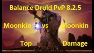 WoW BFA 8.2.5 - Balance Druid PvP - Moonkin vs Moonkin For Top Damage