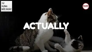 ACTUALLY | Ph&aacute;t &acirc;m - Giải nghĩa - V&iacute; dụ | Từ vựng tiếng Anh