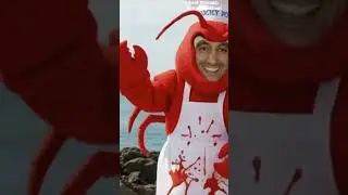 Lobster Chowder Jiggy Jugs #brainrot #music #wtf #crazy