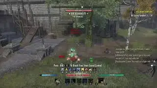 ESO PVP Stamina Necromancer 1vX
