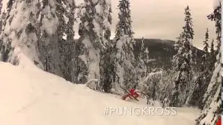 #PUNGKROSS