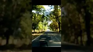 wildlife 🌲#wildlife #adventure #nature #beauty #hilarious #discovery #animals