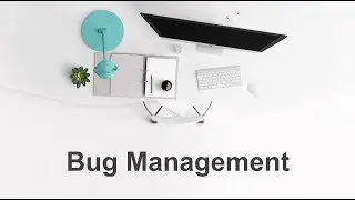 Bug Management
