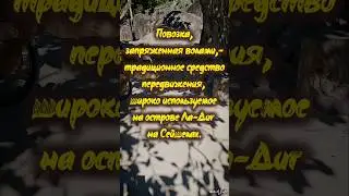 Повозка, запряженная волами,-традиционное средство передвижения, на острове Ла-Диг на Сейшелах.