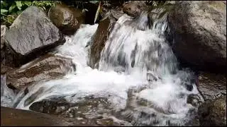 Blissful Mountain Symphony: Delightful Mountain Sounds, Insect Chirping, Babbling River ASMR