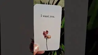 Your Ex Living partner #love #crushreading #viralshort #soulmatesreading #trending #tarotreading