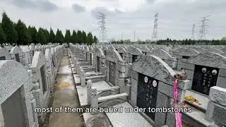 China Tomb-Sweeping Day，The cemetery in Shanghai