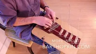 Cat's Face&mdash;Bart Hopkin