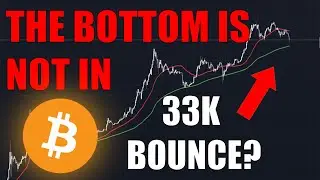 Bitcoin: More Blood To Come! The Macro Bottom Has Not Been Reached (BTC)