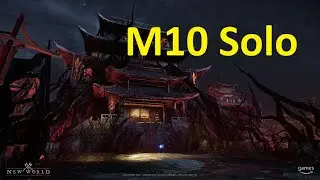 Solo M10 Dynasty