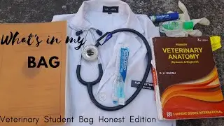 What's In My  Bag | Veterinary Student |