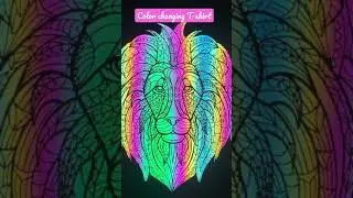 Color changing T-shirt