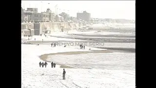 Nevada histórica en Mar del Plata, 1 de Agosto 1991 - 30 Años