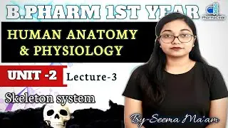 Vertebral column & Appendicular skeleton system full explained | BPharm 1st year | HAP unit -2 | 