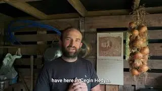 Cegin Hedyn Community Allotment