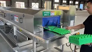 Lavadora para Bandejas de Huevos y Cestas de Plástico - Secado al 70%