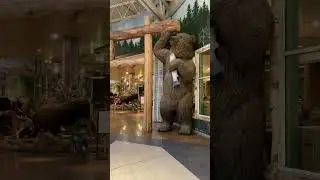 🧸Alberta Canada 🧸 #relaxing #love #family #travel