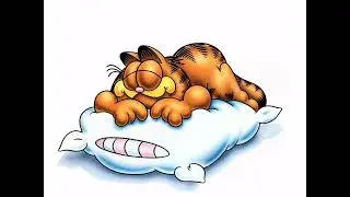 Garfield Is Sleeping😴😴💤💤