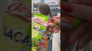 Без 🤮васаби