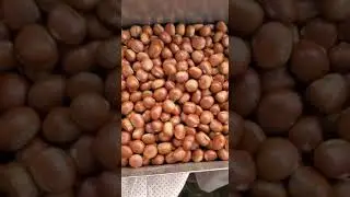 chestnut Roaster Machine,delicious chestnut,Beautiful appearance, China factory roaster maichine