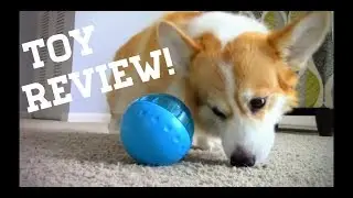 Dog Toy Review: 