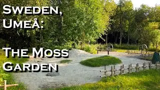 Sweden, Ume&aring;: The Moss Garden
