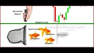 Vix Calculation