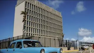 Senators hear testimony on Cuba diplomat attacks