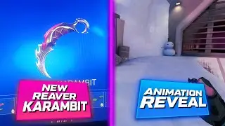 NEW REAVER KARAMBIT ALL ANIMATION REVEAL