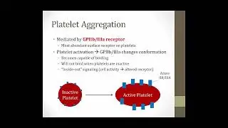 Platelet activation/ Hemostasis