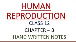 CLASS 12 | BIOLOGY | CHAPTER 3 | HUMAN REPRODUCTION | HAND WRITTEN NOTES | PART - 1
