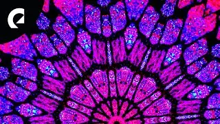 Ludvig Moulin - Kaleidoscopic (Royalty Free Music)