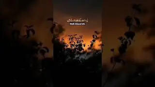 watch till end.